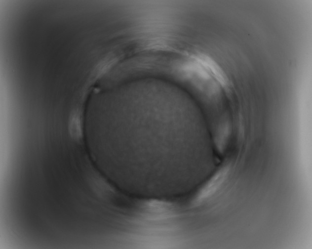 X0000092070393200709262050