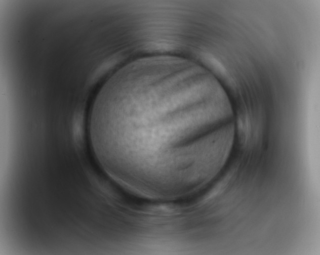 X0000092070396200709262050