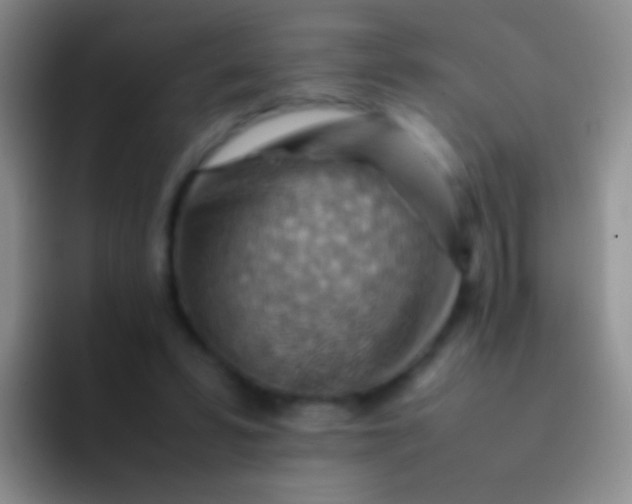 X0000092070399200709262050