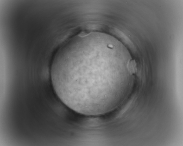 X0000092070401200709262049