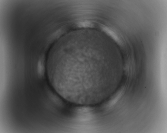 X0000092070402200709262049