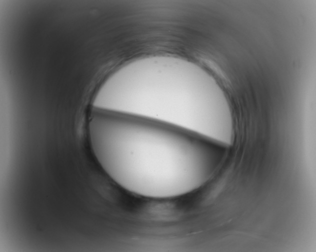 X0000092070403200709262049