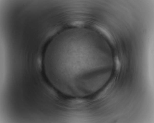 X0000092070404200709262049