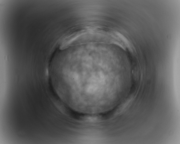 X0000092070405200709262049