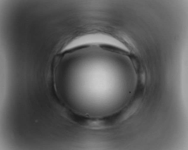 X0000092070407200709262049