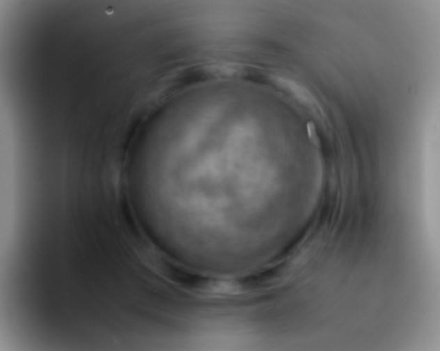 X0000092070409200709262049
