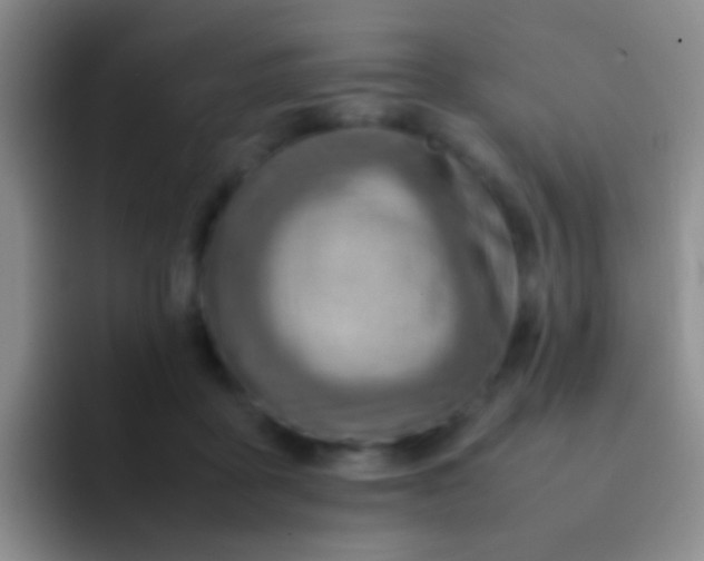 X0000092070411200709262049