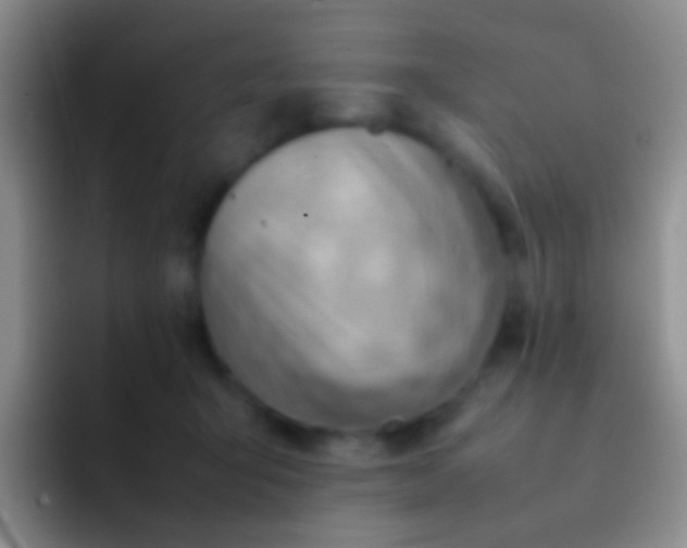 X0000092070415200709262049