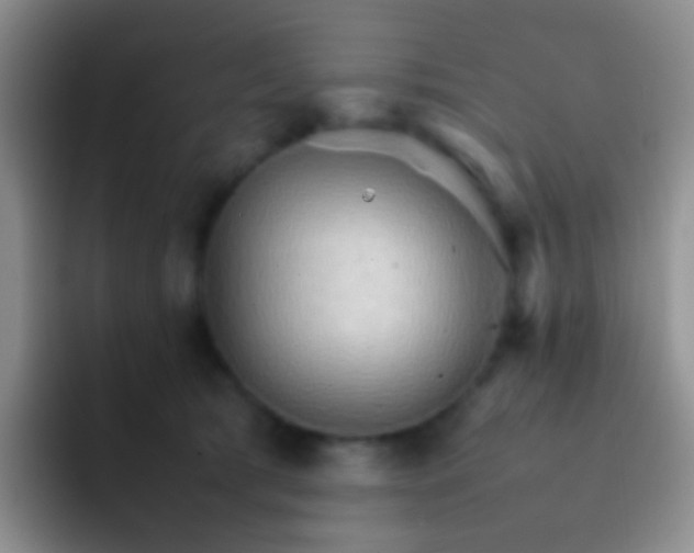 X0000092070417200709262049