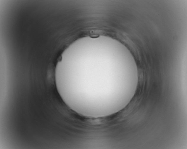 X0000092070419200709262049