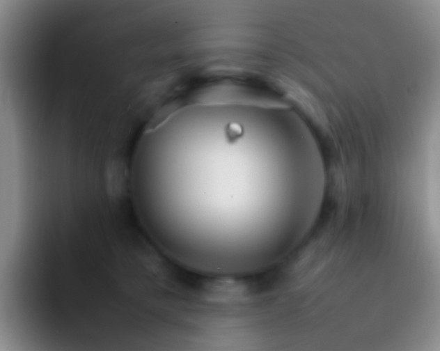 X0000092070421200709262049