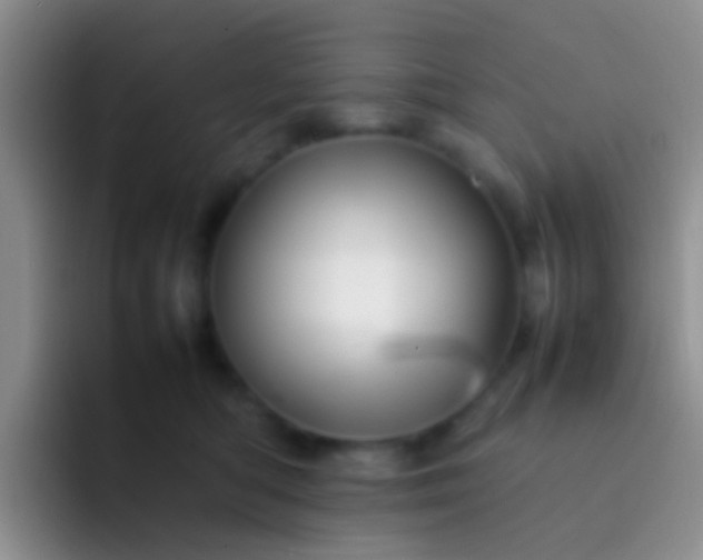 X0000092070422200709262049