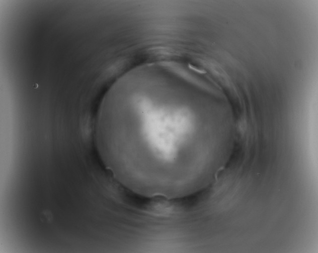 X0000092070423200709262049
