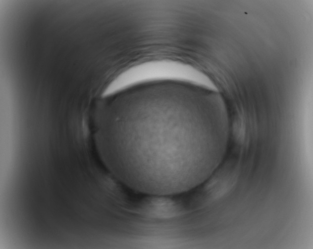 X0000092070424200709262049