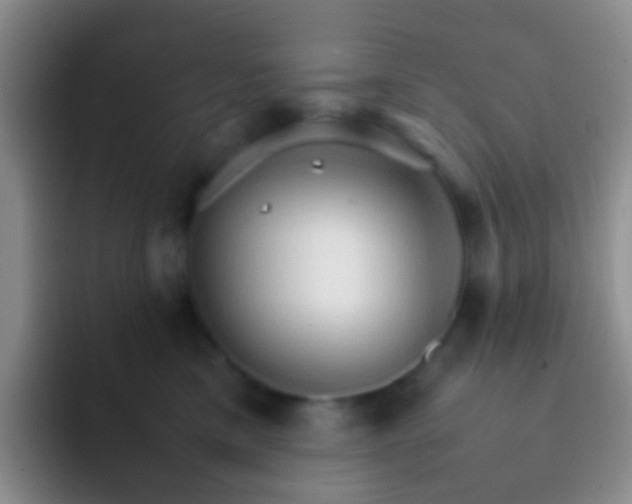 X0000092070425200709262049