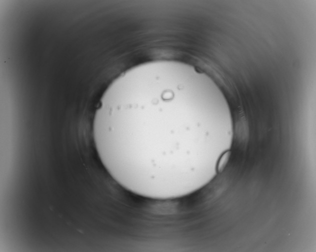 X0000092070426200709262049
