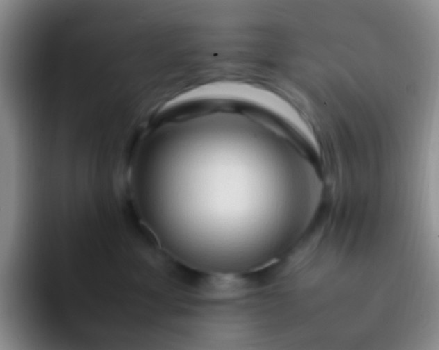 X0000092070429200709262049