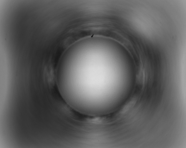 X0000092070430200709262049