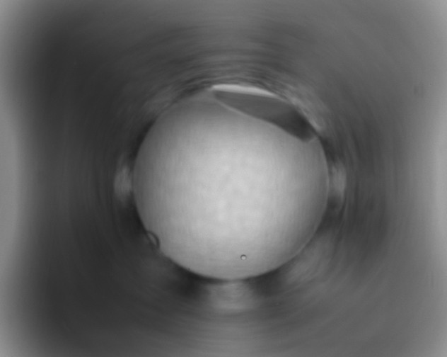 X0000092070431200709262049