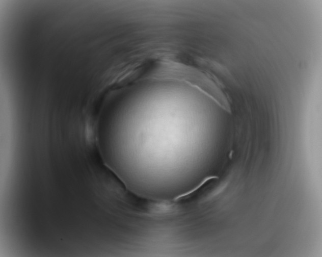 X0000092070432200709262049