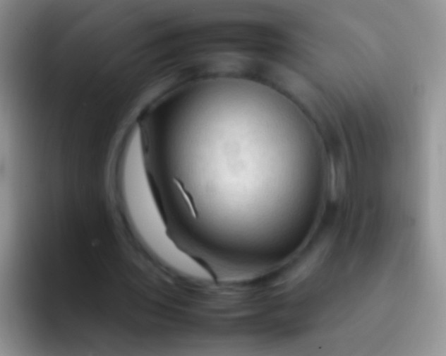 X0000092070435200709262049