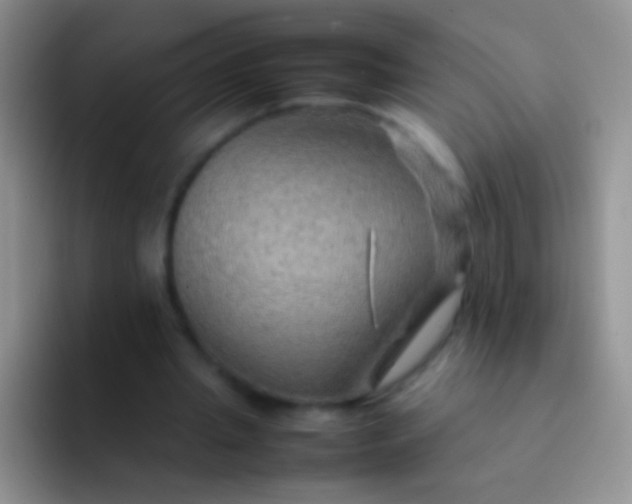 X0000092070437200709262049
