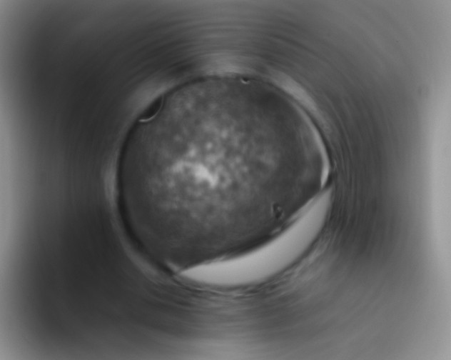 X0000092070438200709262049