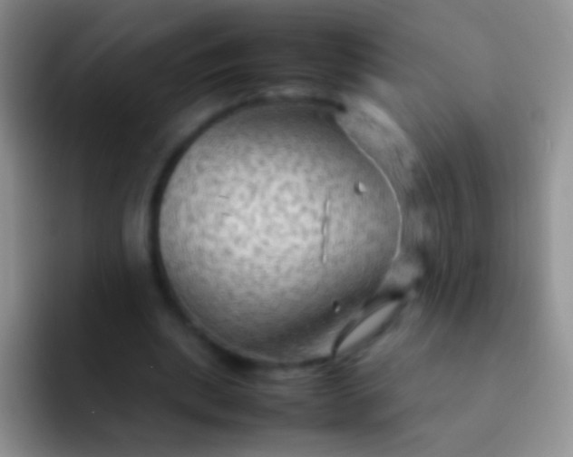 X0000092070439200709262049