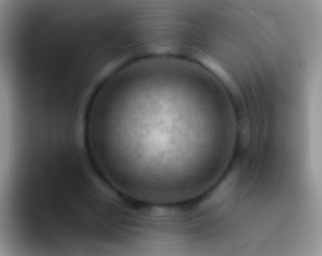 X0000092070442200709262049