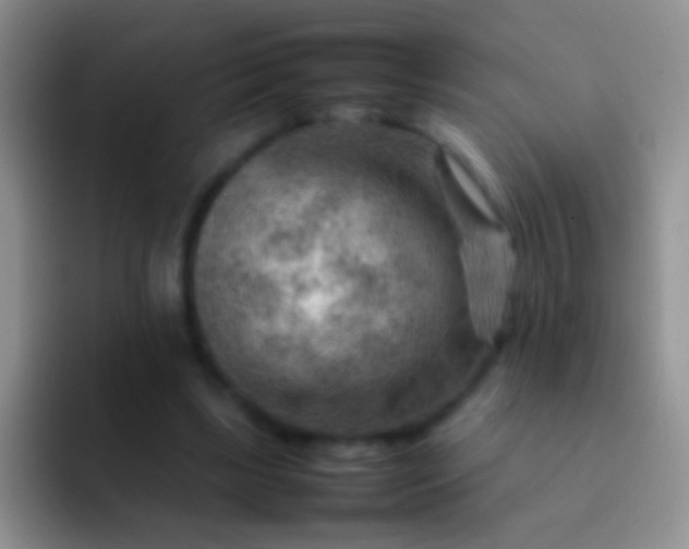 X0000092070443200709262049