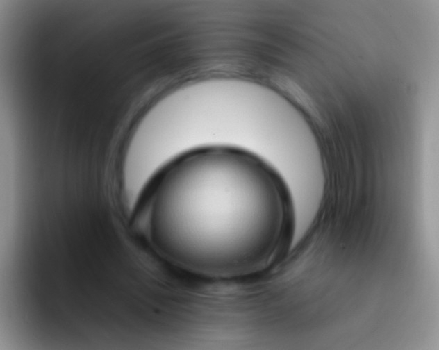 X0000092070444200709262049