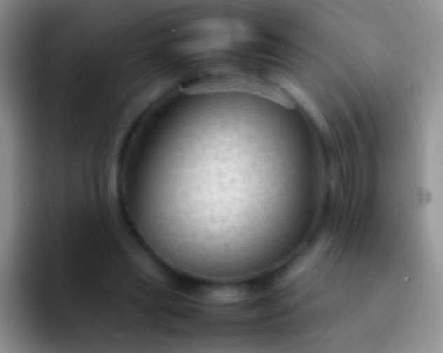 X0000092070445200709262049