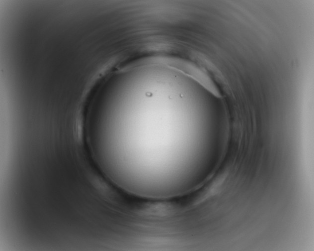 X0000092070446200709262049