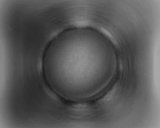 X0000092070447200709262049