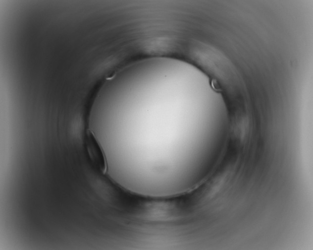 X0000092070448200709262049
