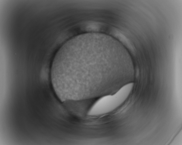 X0000092070449200709262049