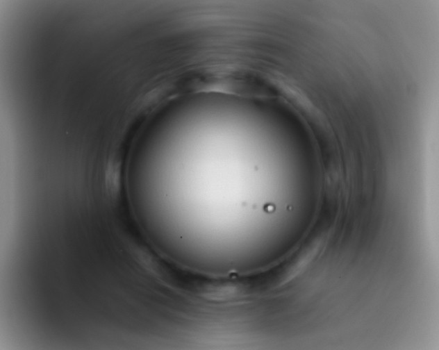 X0000092070454200709262049
