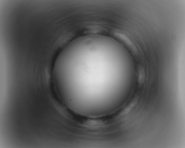 X0000092070455200709262049