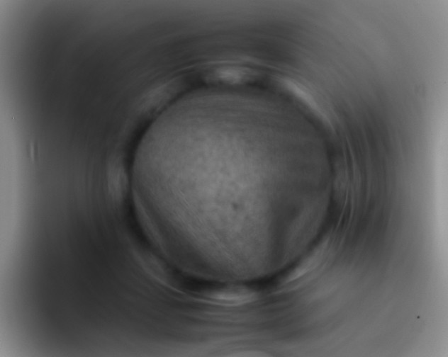 X0000092070459200709262049