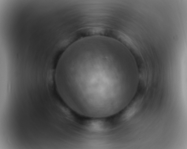X0000092070462200709262049