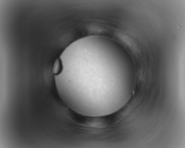 X0000092070463200709262049