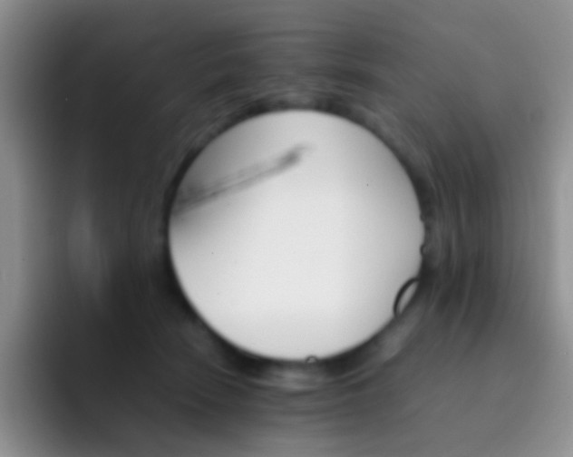 X0000092070466200709262049