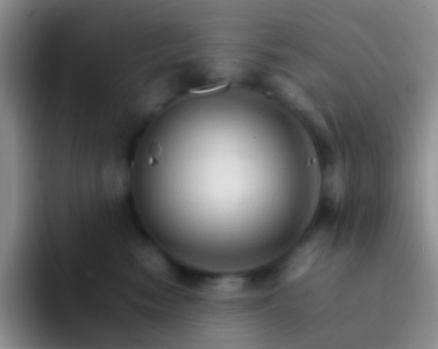 X0000092070474200709262049