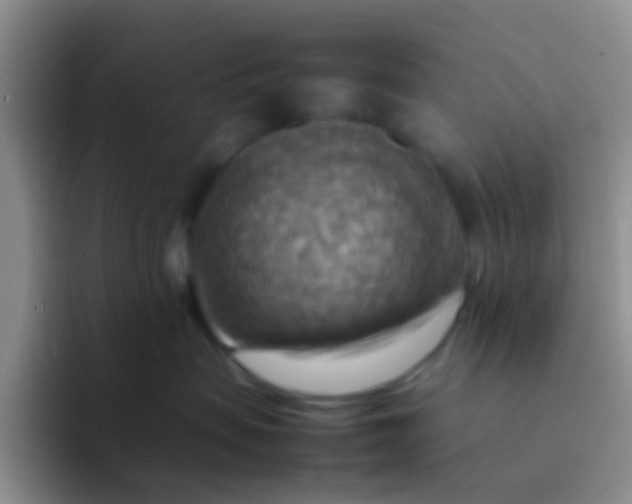 X0000092070479200709262049