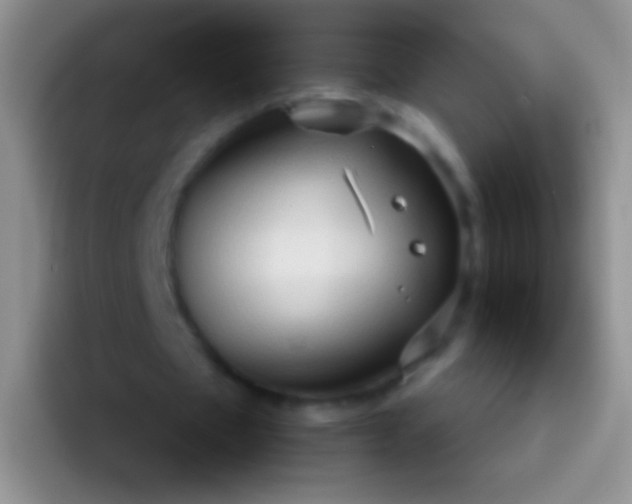 X0000092070481200709262049