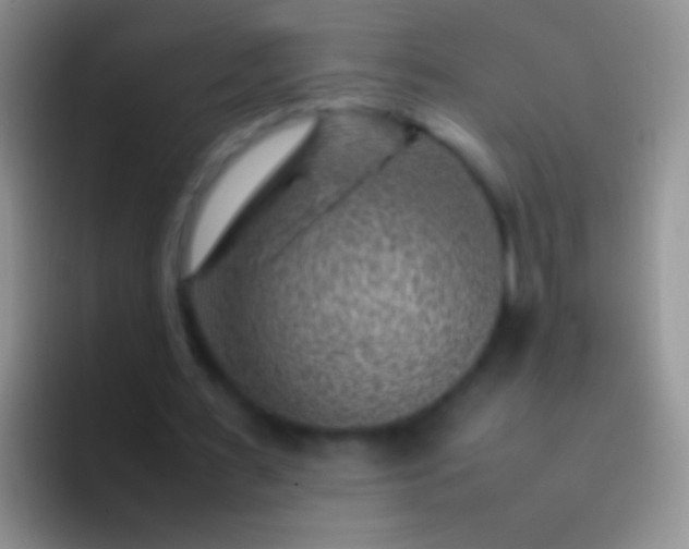 X0000092070483200709262049