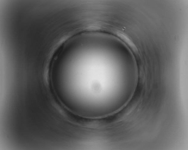 X0000092070485200709262049