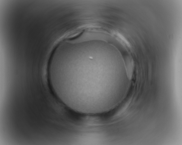 X0000092070487200709262048