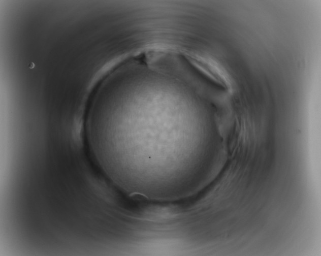 X0000092070488200709262048