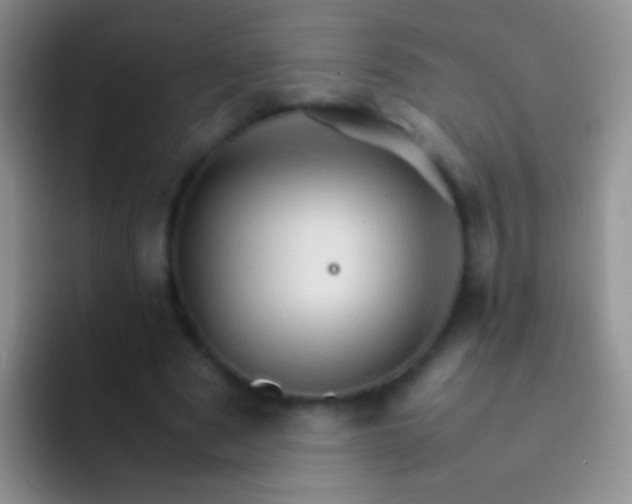 X0000092070489200709262048